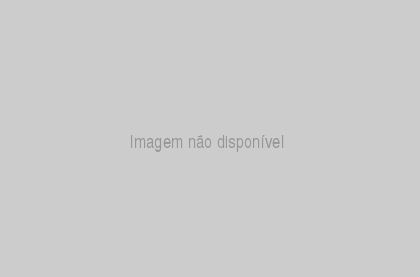 AREA COM 19.713 m² FRENTE PRA SC 401